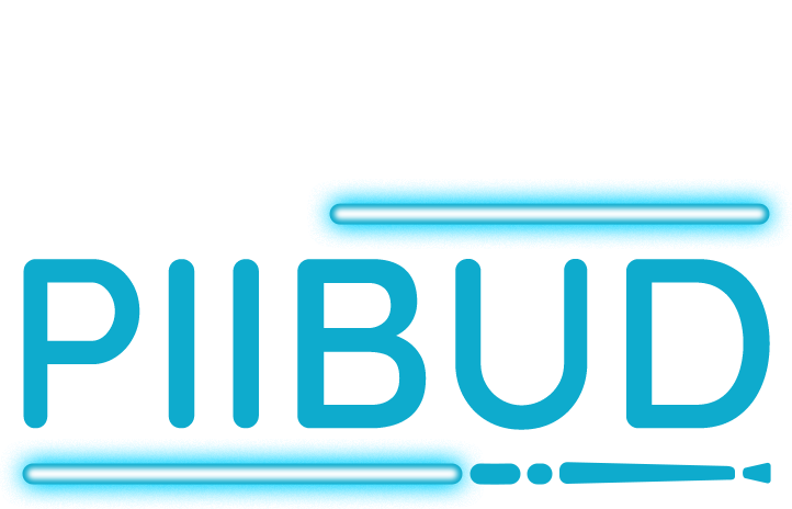 Piibud24